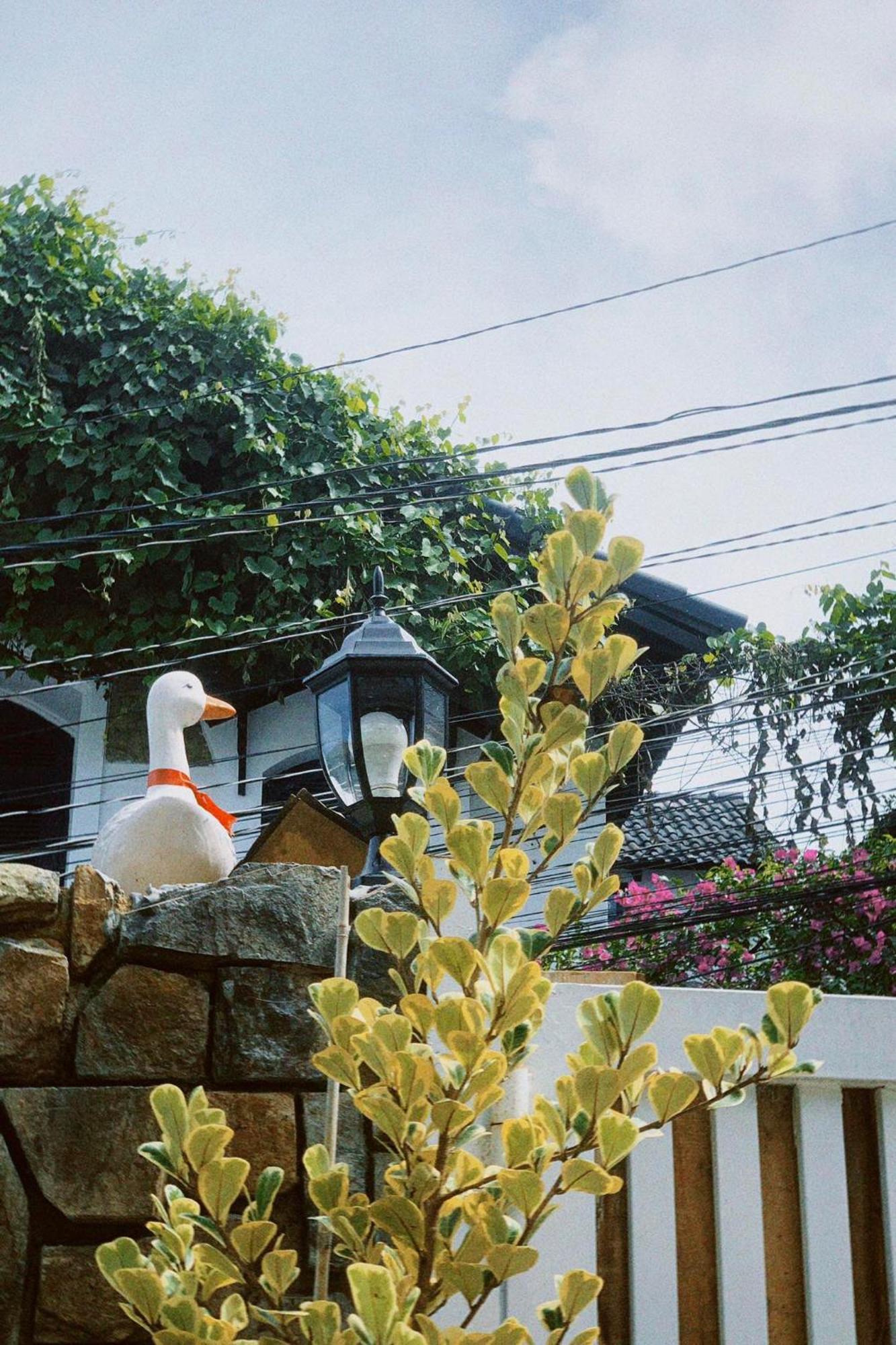 Chai Nho Homestay Да Лат Екстериор снимка